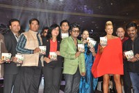Beat the Box Album Launch
